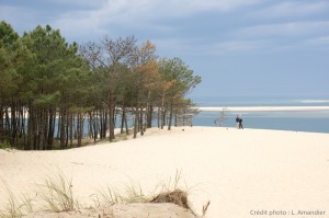 Foret-dunes aquitaine_00026443_credit photo